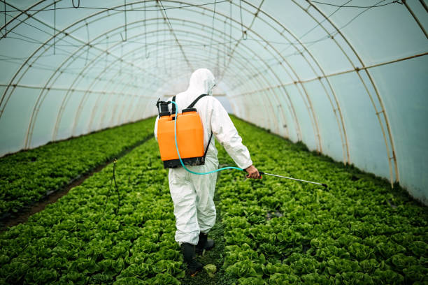 Best Commercial Pest Control Services  in Southaven, MS
