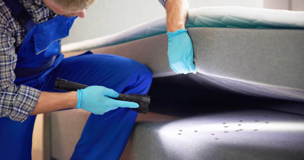 Best Local Pest Control Services  in Southaven, MS
