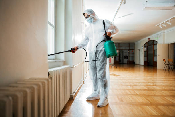Best Emergency Pest Control  in Southaven, MS